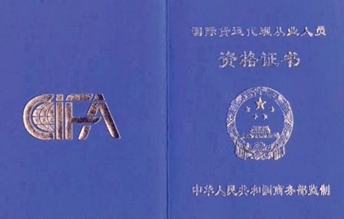 经贸天下的助航人 报关与国际货运专业